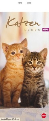 Bild vergrößern Bild: Whiskas Katzenleben 2015 - Heye