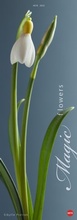 Cover: Magic Flowers Vertical 2015 - Heye