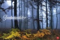 Bild vergrößern Bild: Zauberwälder 2015 - Heye