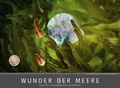 Cover: Wunder der Meere - Edition Alexander von Humboldt 2015 - Heye