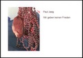 Cover: Wir geben keinen Frieden - AROVELL Verlag