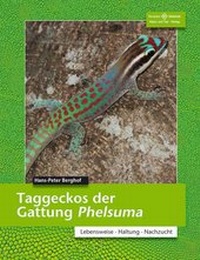 Abbildung von: Taggeckos der Gattung Phelsuma - Natur und Tier