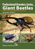 Cover: Giant Beetles of the genera Dynastes and Megasoma - Chimaira