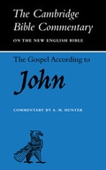 Cover: The Gospel according to John - Cambridge University Press