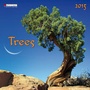 Cover: Trees 2015 - Tushita PaperArt GmbH