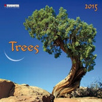 Enlarge image Cover: Trees 2015 - Tushita PaperArt GmbH