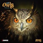 Cover: Magic Owls 2015 - Tushita PaperArt GmbH