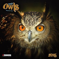 Enlarge image Cover: Magic Owls 2015 - Tushita PaperArt GmbH
