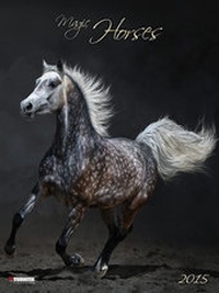 Abbildung von: Magic Horses 2015 - Tushita PaperArt