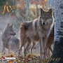 Cover: Wolves 2015 - Tushita PaperArt GmbH