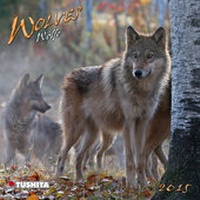 Enlarge image Cover: Wolves 2015 - Tushita PaperArt GmbH
