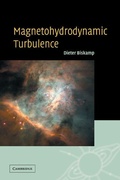 Cover: Magnetohydrodynamic Turbulence - Cambridge University Press