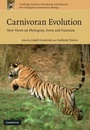 Cover: Carnivoran Evolution - Cambridge University Press