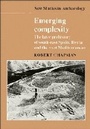 Cover: Emerging Complexity - Cambridge University Press