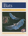 Cover: PM Gold Animal Facts Nocturnal Animals Bats (x6) - Nelson Thornes Ltd