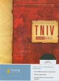 Cover: Study Bible-TNIV - Zondervan Publishing Company