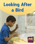 Cover: Looking After a Bird - Cengage Learning Australia