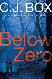 Enlarge image Cover: Below Zero - Putnam Adult