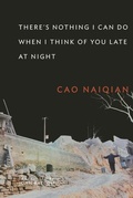 Cover: There's Nothing I Can Do When I Think of You Late at Night - De Gruyter