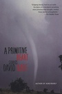 Cover: A Primitive Heart - Grove Press