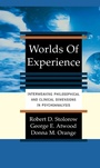Cover: Worlds Of Experience - Basic Books
