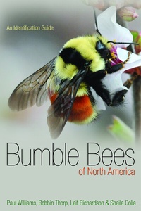 Abbildung von: Bumble Bees of North America - Princeton University Press