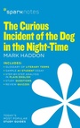 Cover: The Curious Incident of the Dog in the Night-Time (SparkNotes Literature Guide) - Union Square & Co.
