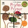 Cover: Pecyn Nos Da a Pryfed Prysur - Rily Publications Ltd