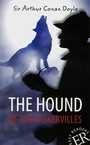 Cover: The Hound of the Baskervilles - Klett