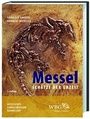 Cover: Messel - Wissenschaftliche Buchgesellschaft (WBG)