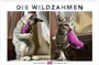Bild: Whiskas Katzenkalender 2015 - Heye