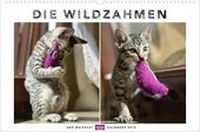 Bild vergrößern Bild: Whiskas Katzenkalender 2015 - Heye
