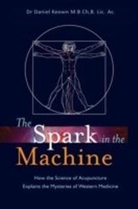 Abbildung von: The Spark in the Machine - Singing Dragon
