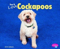 Enlarge image Cover: You'll Love Cockapoos - Capstone Press