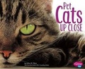 Cover: Cats - Capstone Press