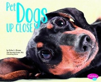 Enlarge image Cover: Dogs - Capstone Press