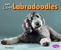 Cover: You'll Love Labradoodles - Capstone Press