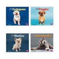 Enlarge image Cover: Favorite Designer Dogs - Capstone Press