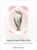 Cover: American Afterlife - University of Georgia Press