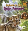 Cover: In The Rain Forest - Capstone Press