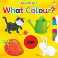 Enlarge image Cover: What Colour? - Two Windmills Limited