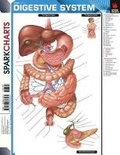 Cover: Digestive System (Sparkcharts) - Sparkcharts