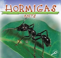 Enlarge image Cover: Hormigas - Rourke Educational Media
