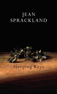 Enlarge image Cover: Sleeping Keys - Jonathan Cape