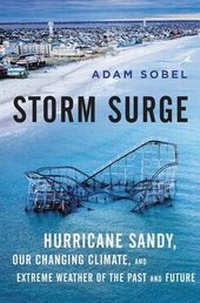 Abbildung von: Storm Surge - HarperCollins