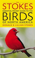 Cover: The Stokes Essential Pocket Guide to the Birds of North America - Little, Brown & Company