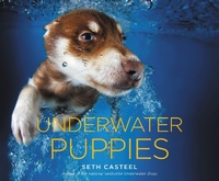 Abbildung von: Underwater Puppies - Little, Brown & Company