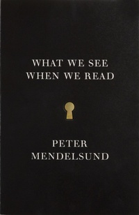 Enlarge image Cover: What We See When We Read - Vintage Books