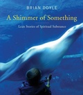 Cover: A Shimmer of Something - Liturgical Press