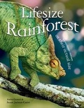 Cover: Lifesize: Rainforest - Kingfisher Books Ltd